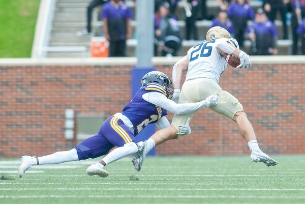 What Are the Best Places to Adopt Pets in the UK?